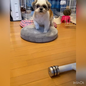 器用に遊びますの画像