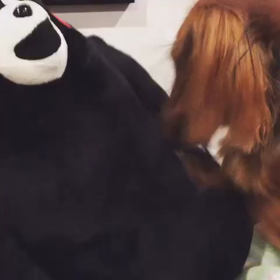 掘り好きの画像