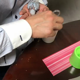 セキセイインコのヒナの画像