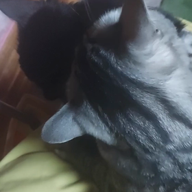 眠くなりましたよの画像