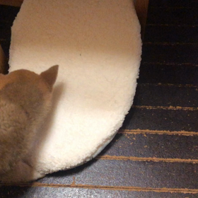 30日目！の画像