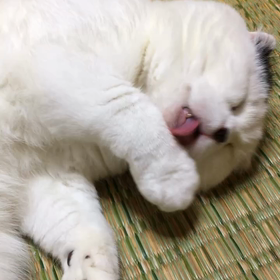 男の午後の画像