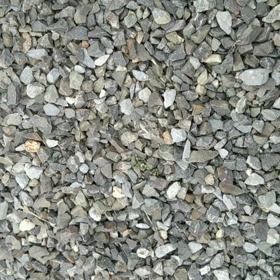 シャチの声～聞こえますか～の画像