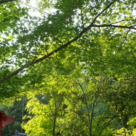 治りました(^-^)の画像