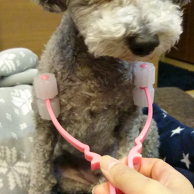 結果発表３回目の画像