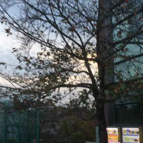 生温き木枯しの画像