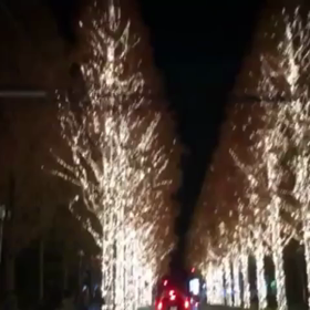 街はクリスマス気分の画像