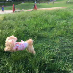 秋ですね〜の画像