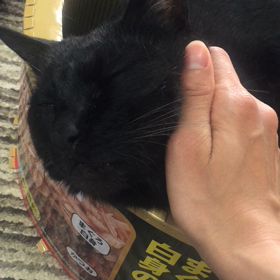 まったりじかん_(:3 」∠)_の画像