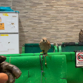 動物プロダクションの日常。の画像