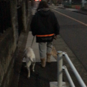 よそ見をしてると、、、の画像