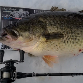 記録動画の画像