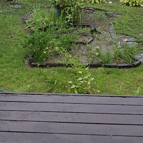 まだ雨、しかも大雨？の画像