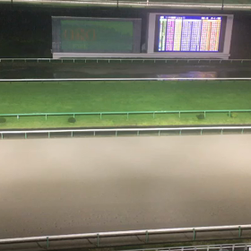 雨の南部杯の画像