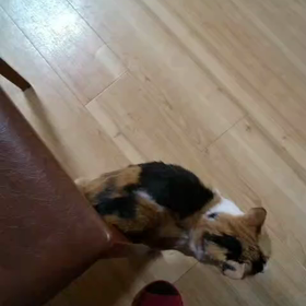 新春初ライブ　中村誠一（ts）カルテットの画像