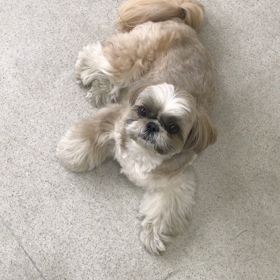 ♪プレイルーム動画♪の画像