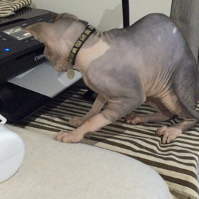 ビックリ！！の画像