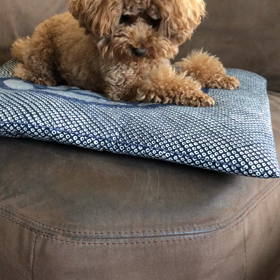 食後の運動の画像