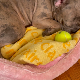 ウチの娘は彼氏ができない　第1話、2話の画像