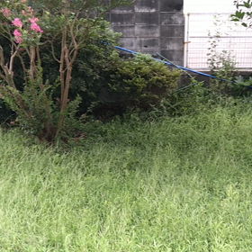 トキメキを運ぶよ全裸の画像