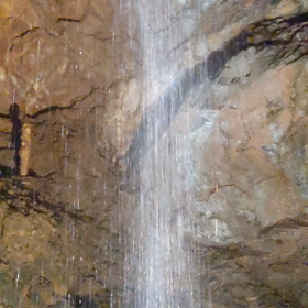 新しい選択＆脳神経回路作り207日目の画像