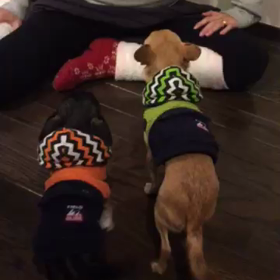 I love TEO♡の画像