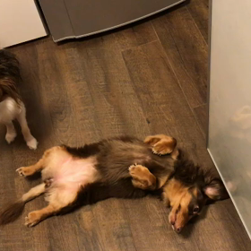 安心して下さいの画像