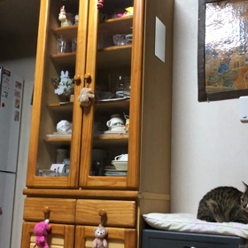 今朝の続き…新入り子猫に意地悪されても負けない先住猫動画。の画像