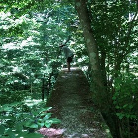 木漏れ日の下のディスタンスの画像