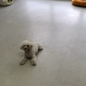 ♪プレイルーム動画♪①の画像