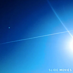 海は…いいよなぁー！の画像