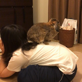 ゆいこのことの画像