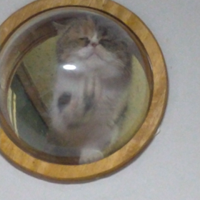 解雇されましたの画像