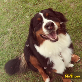 動画編集テスト！！の画像