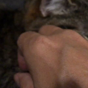 愛する2人の愛情確認の画像