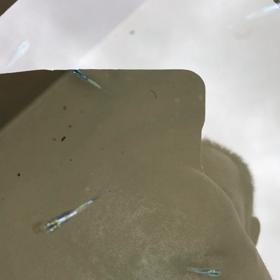 ちょっと太陽が覗いたのでの画像