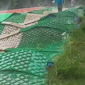 新感覚キター(ﾟ∀ﾟ)の画像