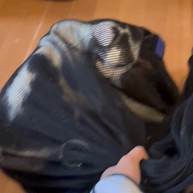 ４月　　神奈川県　　　雨の日、捜索初日で無事に保護の画像