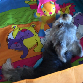 ぼくの家の画像