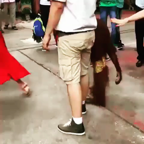 いらずら好きの画像