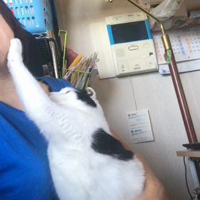 ねえねえ〰の画像