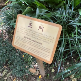 変わらなすぎる＆どう見せるか？の画像