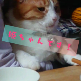 今日の姫ちゃんの画像