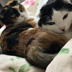 元気の素   いざ〰^_^の画像