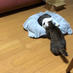 ギャグボディパンプ！認知症の母と暮らすと…。デール大人の対応。の画像