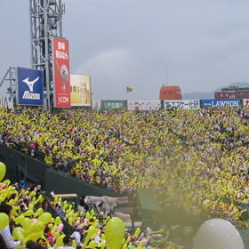 あと1球、あと1球の画像