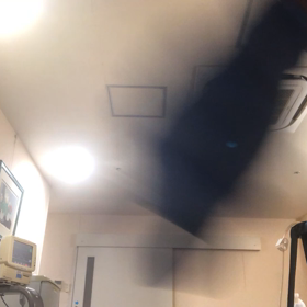 リハビリ、ペース無しで初。12往復2セットの画像