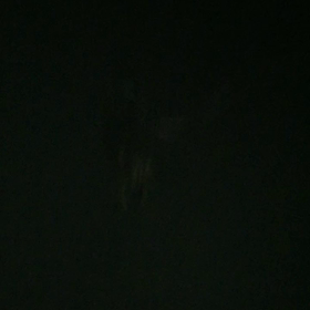 ダイエット日記！の画像