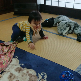 もう一息だね♪の画像