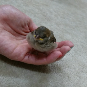 麦動画 保護２日目の画像